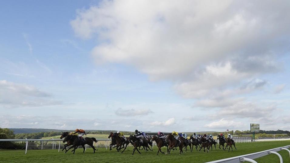 Goodwood